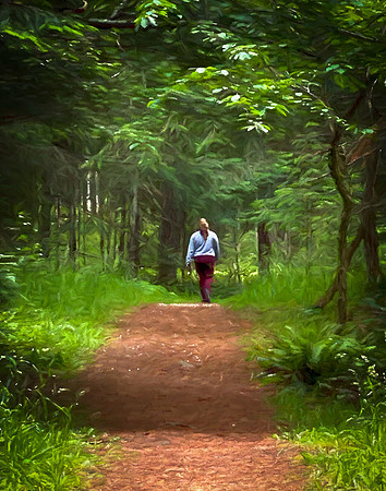 Laura Tait 2 - Walk in the Woods