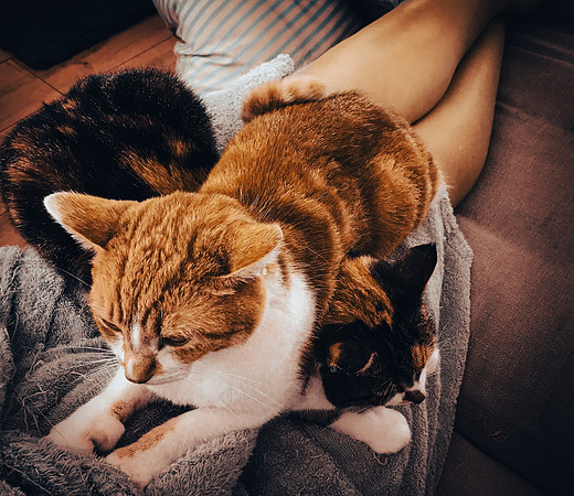 Jules Wheeler-This Lap Ain't Big Enough For The Two Of Us