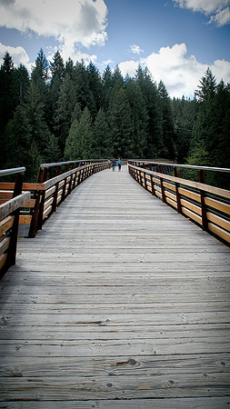 Sean O'Connell Kinsol Trestle (4)
