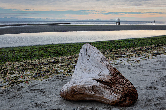 Roger Taylor - Williams Beach Image Stack 1