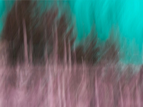 sue-vince-blurringhues_49767330777_o