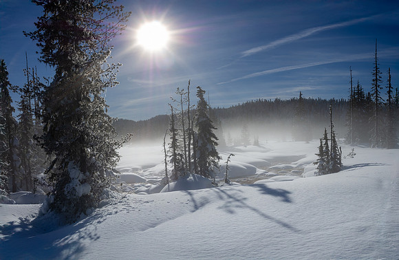 Bill Jorgensen-Paradise Meadows