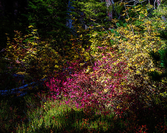 Robert Burkholder - PM Colours1