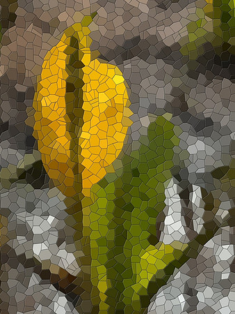 Susan Jardine-Skunk Cabbage