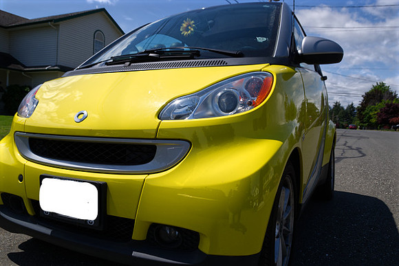 Norman Mathew Yellow Bug