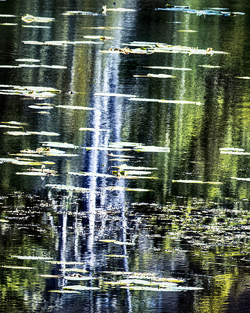 Robert Burkholder - Reflect1