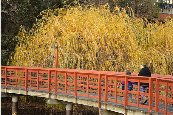 Linda McShane-Fall Bridge Walk