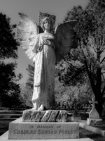 Cindy Powell-Gravestone at Ross Bay Cemetary