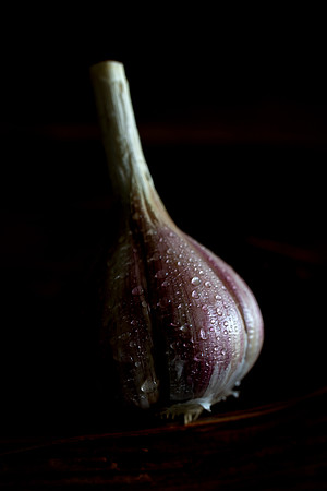Fernanda Gimenez-Garlic