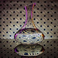 FIRST PLACE - Fernanda Gimenez-Glass