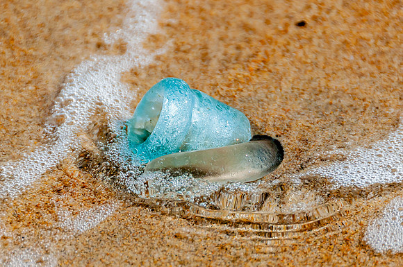 Neal Erickson-Beach Glass