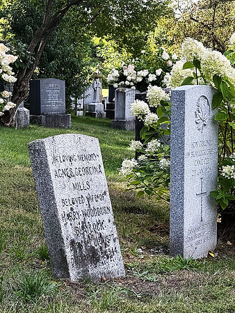 Susan Jardine-Gravestones