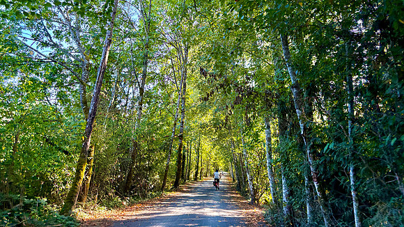 Roxane Lacroix-Greenway