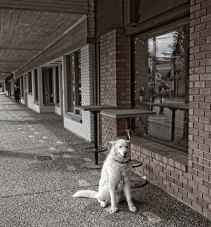 Jessica North-O'Connell - Reflections on Main St 1