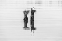 Bill Bentley-Balancing Act