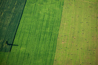 Amit Bakshi-Harvest Lines