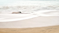 Diane Spaidal-Wave Motion