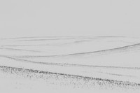 SECOND PLACE - Iris Schurz-Silent Fields