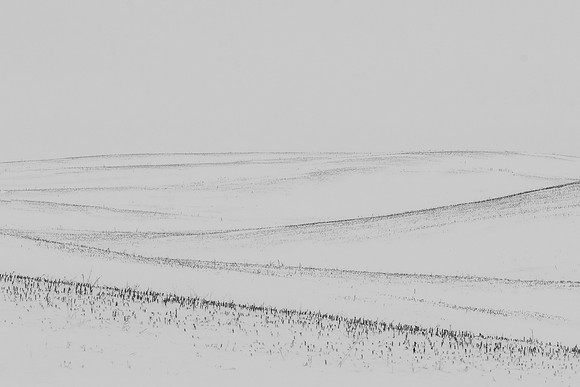 SECOND PLACE - Iris Schurz-Silent Fields