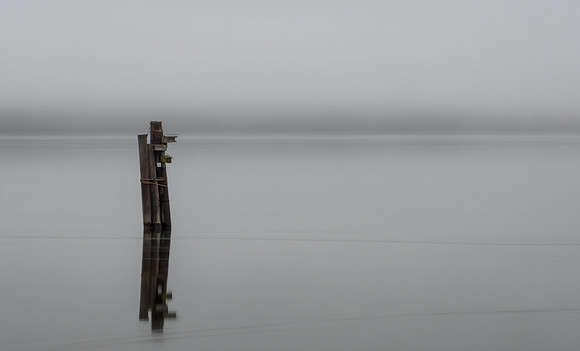 Laura Tait-In the Still of the Fog