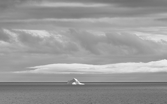 Laura Tait-Just Floating By