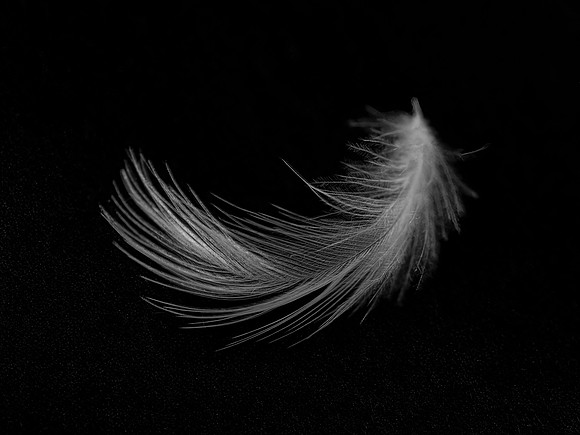 Lin Auerbach-Tranquility