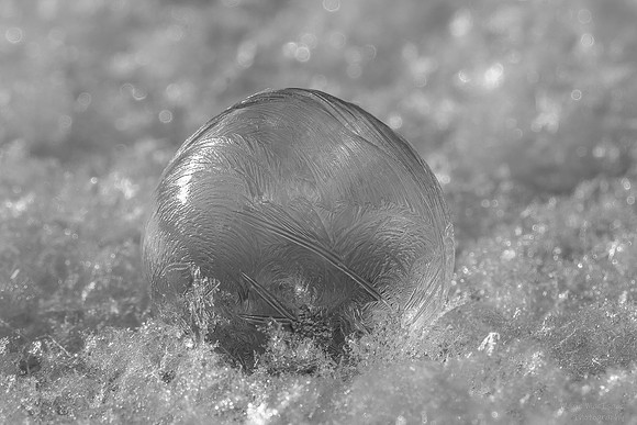 Marie MacIsaac-Nature's Etch A Sketch