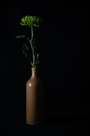 Marie MacIsaac-Vase of Quiet Solitude