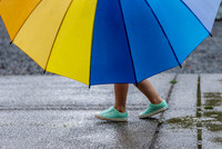 Iris Schurz-Colour on the Downpour