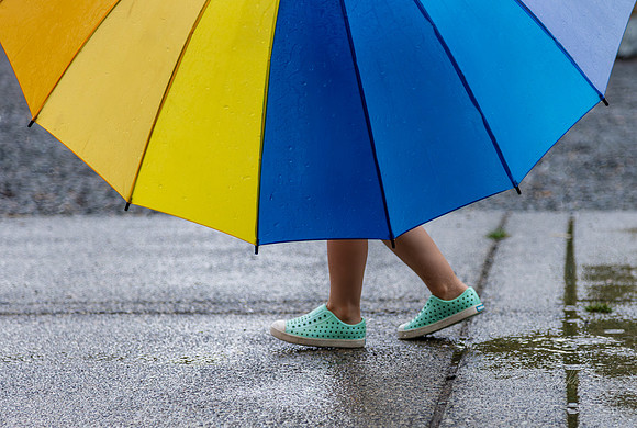 Iris Schurz-Colour on the Downpour