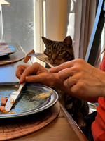 Julie Gourdeau-Dinner Guest