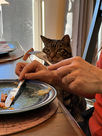 Julie Gourdeau-Dinner Guest