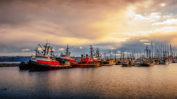 Colours After the Storm - Tony Gusman - 23