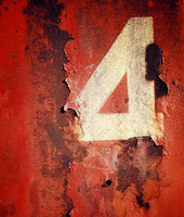 Carol Kujala-7