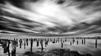 Bill Bentley-Find The Cormorants