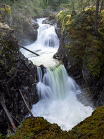 Bill Jorgensen-Little Qualicum Falls