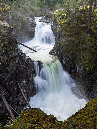 Bill Jorgensen-Little Qualicum Falls