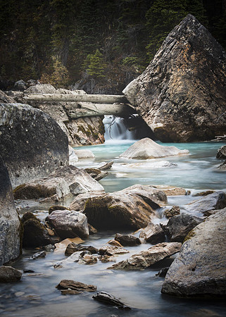 Carol Kujala-Yoho Creek