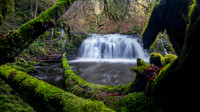 SECOND PLACE - Don Tait-The Mossy Gateway