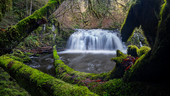 SECOND PLACE - Don Tait-The Mossy Gateway