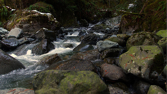 Norman Mathew-Dalrymple Creek