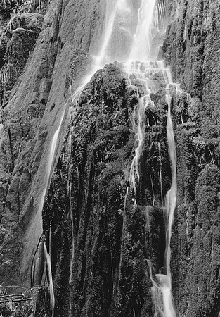 Susan Jardine-Waterfall
