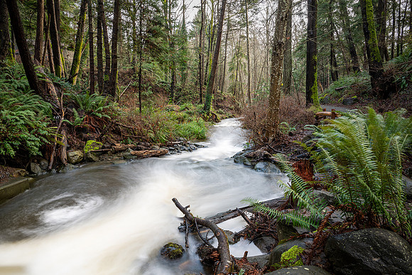 Katie Hubberstey-Brooklyn Creek