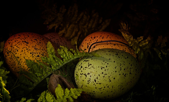 Jessica North-O'Connell-Eggs