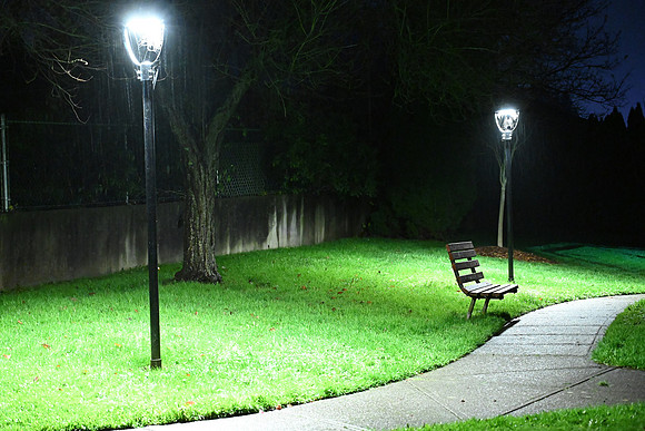 Evan Harbinson-Park Bench