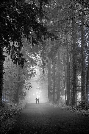 Morning Walk
