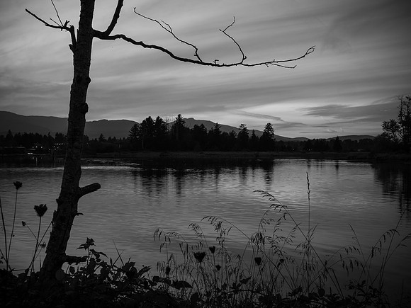 Stillness