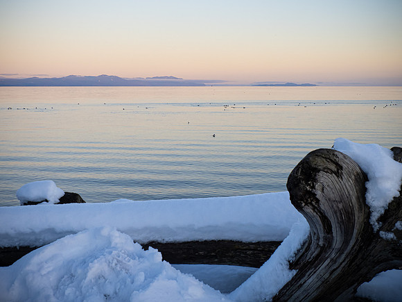 Over the Cold Sea-Nimisha Jimenez