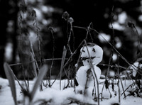 February 2023 Competition - Cold