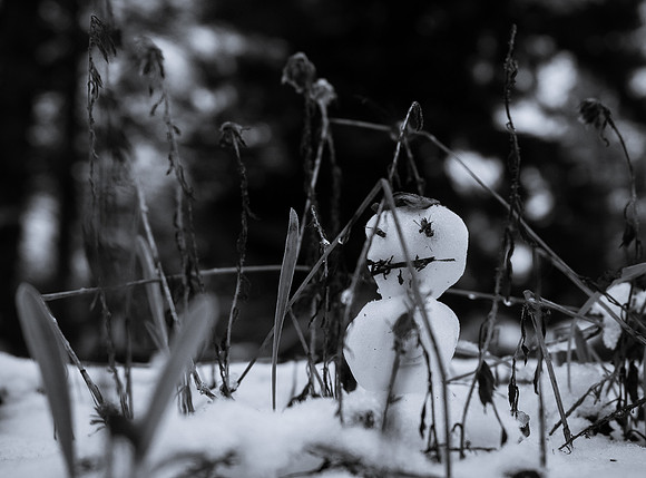 Perennial Lurker-Tim Pope